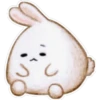 Rabbit pupi 8