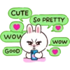 Brown and Cony 1 12