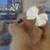 3 GaTiToS ♡ MeOw 14