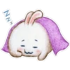 Rabbit pupi 10