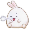 Rabbit pupi 11