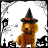 Perritos Halloween ✺1🇻🇪 17