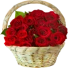 Flores 3 10