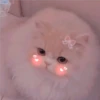 2 GaTiToS ♡ MeOw 16