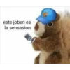Peluches fraseados 2👆👅 10