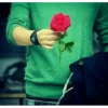 Best Flowers 18