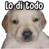 ⚠ Memes que te faltan #3 9