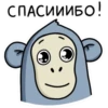 ОбезьRнка Mono 20