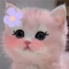 3 GaTiToS ♡ MeOw 17