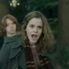 Hermione Granger 14