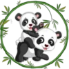 Pandita Cute ✺1🇻🇪 19