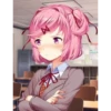 Doki Doki Literature Club! №11 16