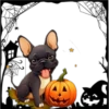 Perritos Halloween ✺1🇻🇪 21