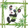 Pandita Cute ✺1🇻🇪 20