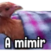 ⚠ Memes que te faltan #3 10