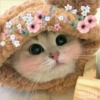 3 GaTiToS ♡ MeOw 19