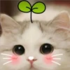 2 GaTiToS ♡ MeOw 21
