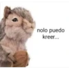 Peluches fraseados 2👆👅 14