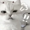 3 GaTiToS ♡ MeOw 20
