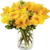 Flores 3 13