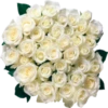 Flores 3 14