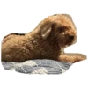 bear 23
