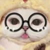 3 GaTiToS ♡ MeOw 21