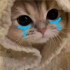 2 GaTiToS ♡ MeOw 22