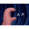 Sponge-Bob Assortment #3 21