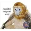Peluches fraseados 2👆👅 17