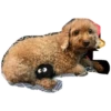 bear 24
