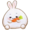 Rabbit pupi 16