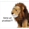 Peluches fraseados 2👆👅 19