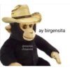 Peluches fraseados 2👆👅 20