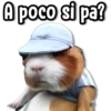 ⚠ Memes que te faltan #3 14