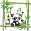 Pandita Cute ✺1🇻🇪 23