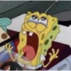 Sponge-Bob Assortment #3 22