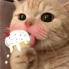 3 GaTiToS ♡ MeOw 25