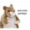 Peluches fraseados 2👆👅 25