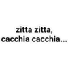 casa 12