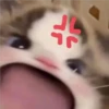 3 GaTiToS ♡ MeOw 26