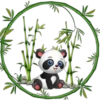 Pandita Cute ✺1🇻🇪 25