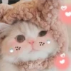 2 GaTiToS ♡ MeOw 25