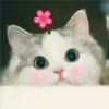 2 GaTiToS ♡ MeOw 26