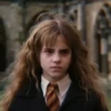 Hermione Granger 22