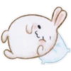 Rabbit pupi 20