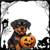 Perritos Halloween ✺1🇻🇪 27