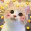 2 GaTiToS ♡ MeOw 28