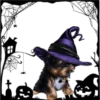 Perritos Halloween ✺1🇻🇪 28