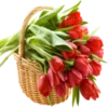 Flores 3 19